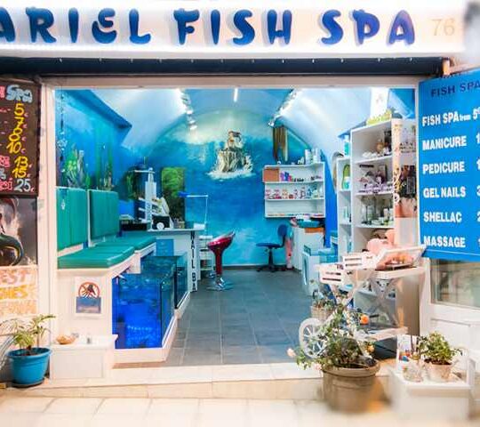Ariel Fish Spa