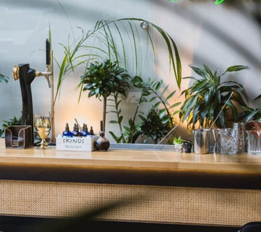 Bristol Drink & Dine