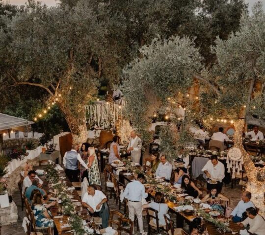 Alkyon Catering